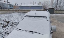 Van'da nisan ayında her yer beyaza büründü