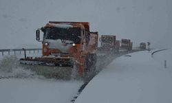 Van'da nisan sürprizi: Lapa lapa kar yağışı şehri beyaza bürüdü