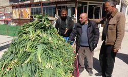 Van'da şifa kaynağı 'çiriş otu' tezgahlardaki yerini aldı