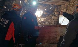 Van'daki depremde bir ahırın duvarı çöktü