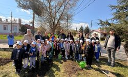 Vezirköprü'de minik eller fidan dikti