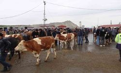 Yağışlı havaya aldırış etmeyen üreticiler ve alıcılar bu pazarda buluşuyor