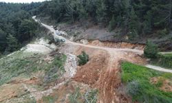 Yol çöktü, mahalleli 3 aydır tarlasına yürüyerek gidiyor