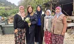 Yunusemre'de güzellik seferberliği