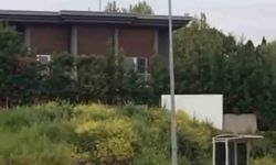 Aç kalan domuz sürüsü, gündüz şehir merkezine indi