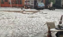 Adıyaman'da dolu yağışı hayatı olumsuz etkiledi