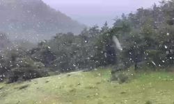 Akdağ'da Haziran ayına günler kala kar sürprizi