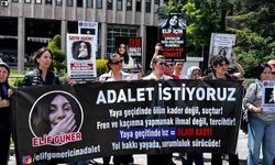 Ankara'da yaya geçidinde otomobilin çarpması ile hayatını kaybeden Elif'in davasına devam edildi