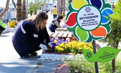 Aydın Büyükşehir'den Didim'e renkli dokunuş