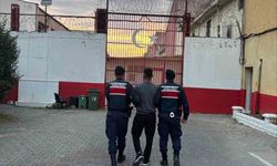 Aydın'da aranan 2 hükümlü jandarmaya takıldı