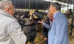 Başkan Eyüp Kahveci'den Kurban Pazarı ziyareti