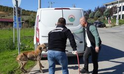 Başkan Kurnaz: 'Tüm ilçeler hayvan barınaklarını tamamlarsa bu yükten kurtulmuş olacağız'