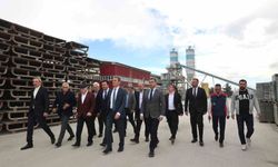 Başkan Sekmen ve Vali Baruş'tan Erzurum'da saha incelemesi