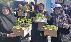 Beykoz'da 1 milyon 700 bin fide toprakla buluşuyor: 'Üretmeye ve Beykoz'a değer katmaya devam edeceğiz'