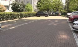 Beylikdüzü'nde başıboş köpekler vatandaşı kovaladı