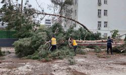 Birecik'te afetin yaraları sarılıyor