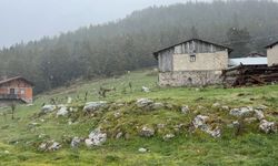 Bolu'da hava sıcaklıkları düştü, yaylalar beyaza büründü