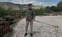 Burdur'da eve giren 'Hazer yılanı' doğaya salındı