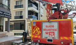 Cam arasına sıkışan güvercin kurtarıldı