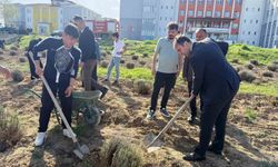 Çavdarhisar'da öğrenciler okulun tarım alanına lavanta fidanı dikti