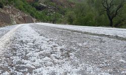 Çayırlı'da dolu yağışı etkili oldu