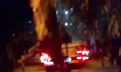 Dereye düşen kurbanlık dana vinçle kurtarıldı