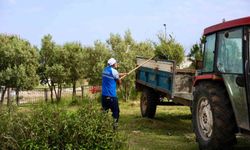 Didim Belediyesi'nden okullarda ot biçme ve çevre düzenleme çalışması