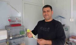 Doğadan yakaladığı kuşla başlayan merakını 30 yıldır sürdürüyor