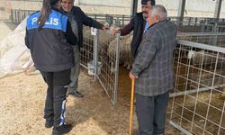 Emniyetten hayvan pazarında sahte para uyarısı