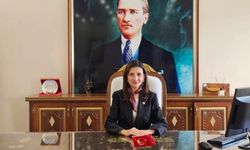 Enez Kaymakamı Ayık'ın da bulunduğu araç kaza yaptı