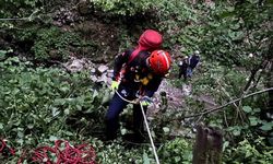 Fındık bahçesinden uçuruma düşen adam hayatını kaybetti