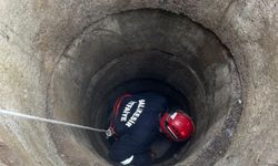 Gönen'de 6 metrelik kuyuya düşen koyun operasyonla kurtarıldı