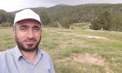 Gümüşhane'de otomobilin çarptığı bir kişi hayatını kaybetti