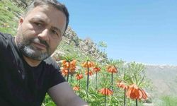 Hakkari'de 2 bin 700 rakımda ters laleler görüntülendi