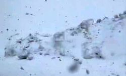 Hakkari'de mayıs ayında kar yağışı