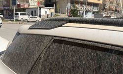 Hakkâri'ye çamur yağdı