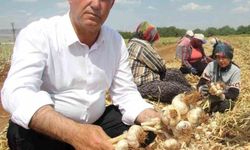 Hasan Altun'dan '14 Mayıs Dünya Çiftçiler Günü' mesajı