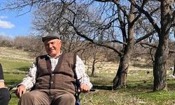 Hayvanlarını otlatırken üstüne yıldırım düşen adam hayatını kaybetti