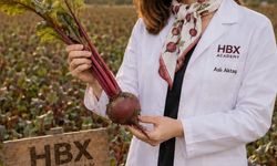 HBX Academy, kırmızı pancarı laboratuvara aldı