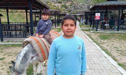 Homurlu'da eşek turları başladı