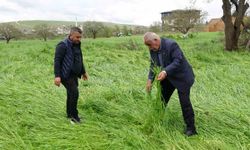 Hububatı 'süper hücre' vurdu