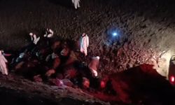 Iğdır'da arı saldırısının bilançosu: 816 koyun telef