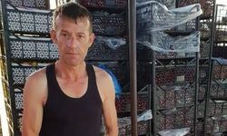 İzmit'te evinde bıçaklanan kişi hayatını kaybetti: 2 gözaltı
