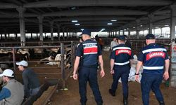 Jandarmadan kurban pazarlarında dron destekli denetim