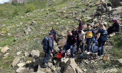 Kayalıklardan düşen yaşlı kadın kurtarıldı