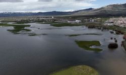 Kura Nehri taştı, tarım arazileri sular altında kaldı
