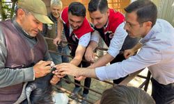 Kurban Bayramı öncesi Bozdoğan hayvan pazarında sıkı denetim