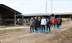 Kurban Bayramı öncesi hayvancılık işletmelerinde inceleme