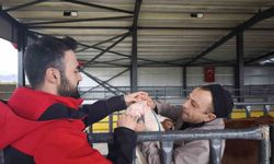 Kurbanlık denetimleri sürüyor