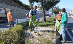 Kuşadası'nda bayram öncesi refüjler bakıma alındı